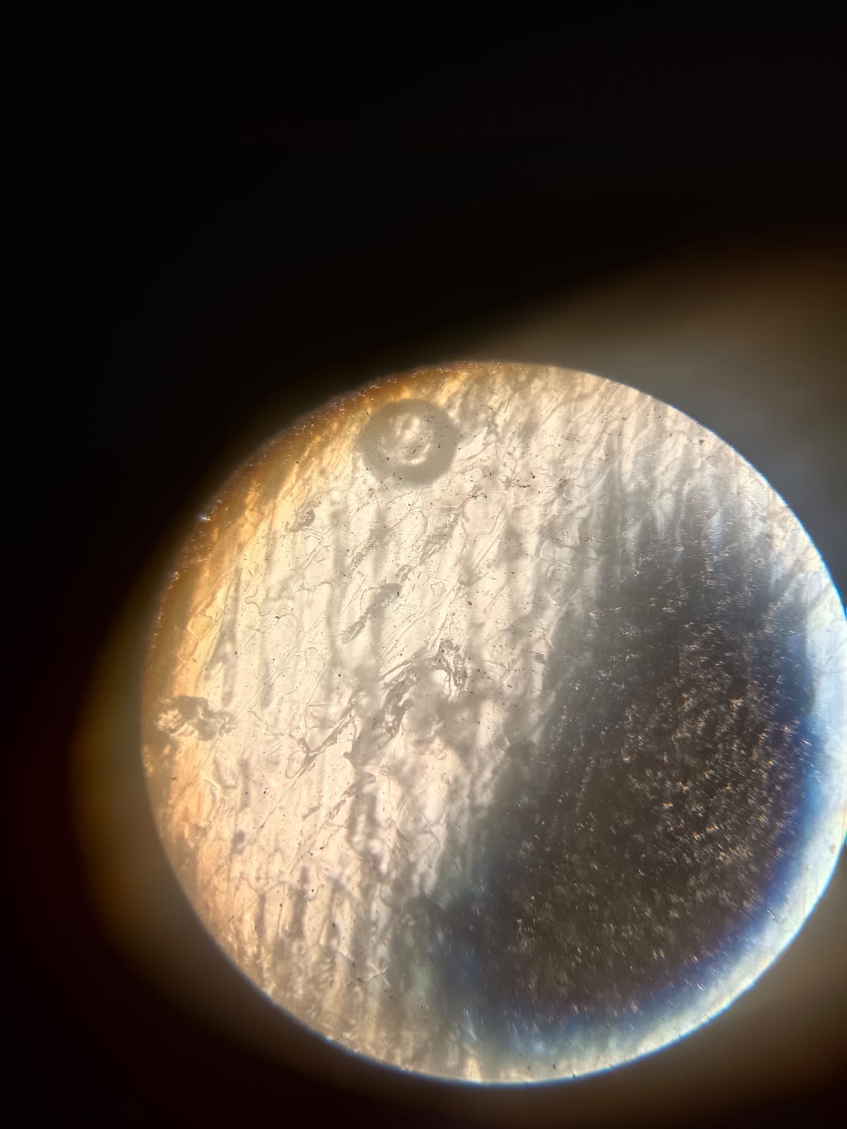 Third Internship Image 3